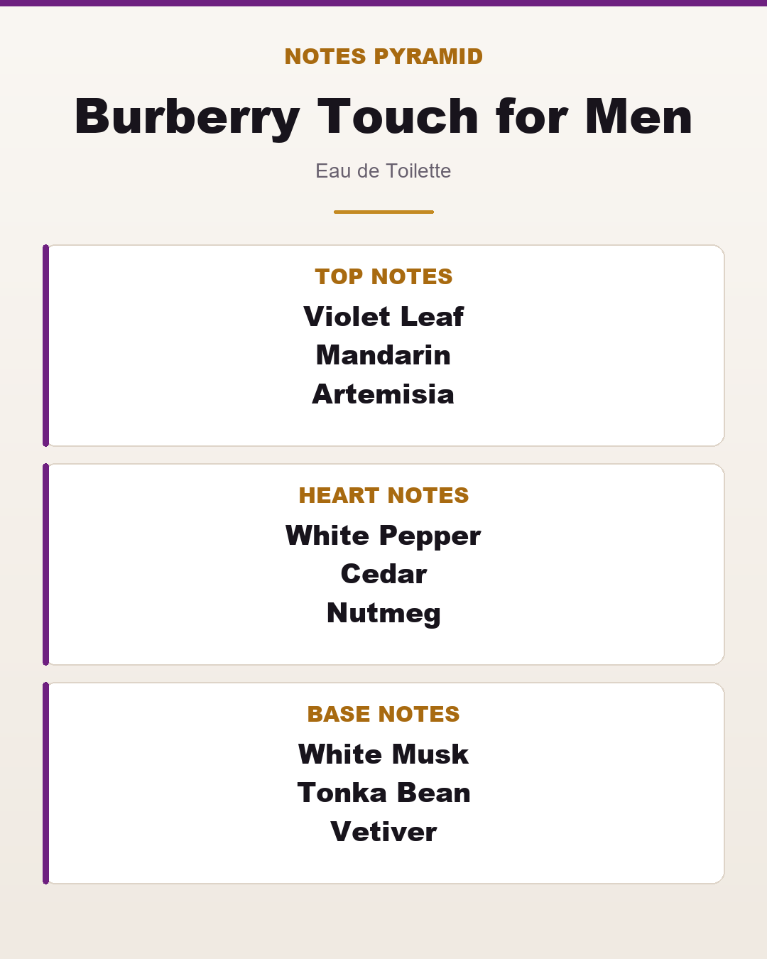 Burberry Touch for Men notes pyramid